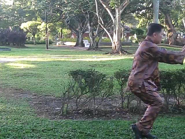 Wu Chuan You Style Taijiquan